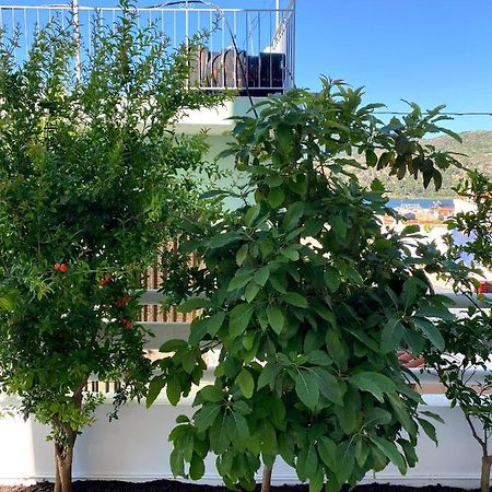 Citrus Apartment Argostoli  Exterior foto